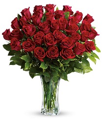 Romantic Red Red Roses 36-100  