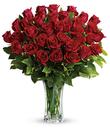 Romantic Red Red Roses 36-100  