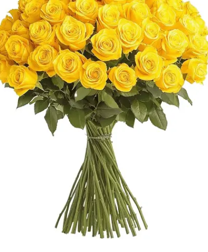 36 Yellow roses  black paper  