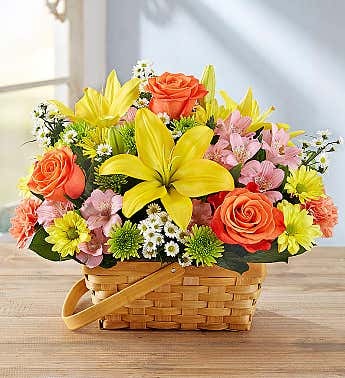 Fields of Europe Basket 