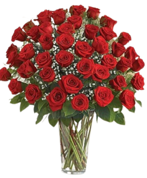 4 dozen red roses and babies breath fresh floral