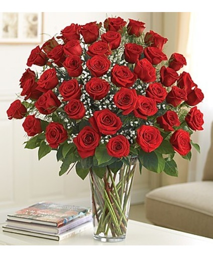 4 Dozen Roses Arranged Roses