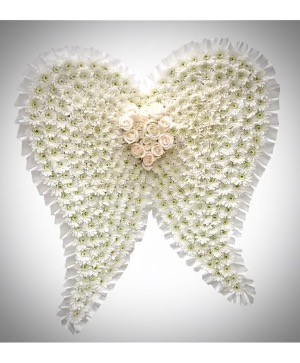 36”  Angel Wings Foam on Easel