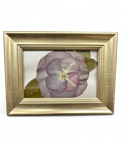 4*6 Pressed Floral Design  4*6