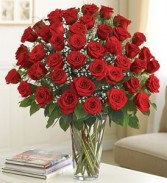 48 Red Roses Arranged