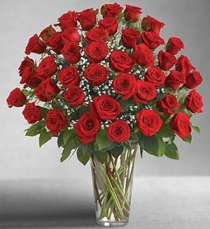 48 ROSE ARRANGEMENT 
