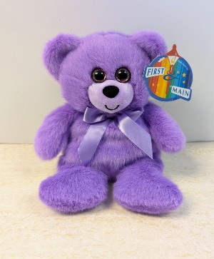 5" Purple Rainbow Bear NFS-1486