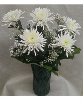 5 SPIDER MUMS WITH BABY'S BREATH $30 Option