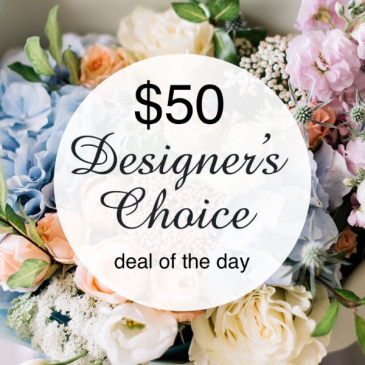 $50 deal of the day  in Osoyoos, BC | POLKA DOT DOOR