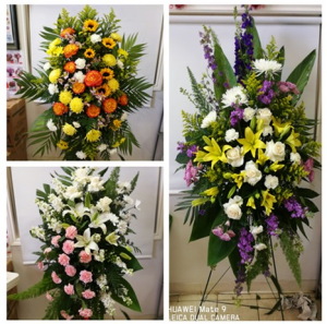 54 special design 