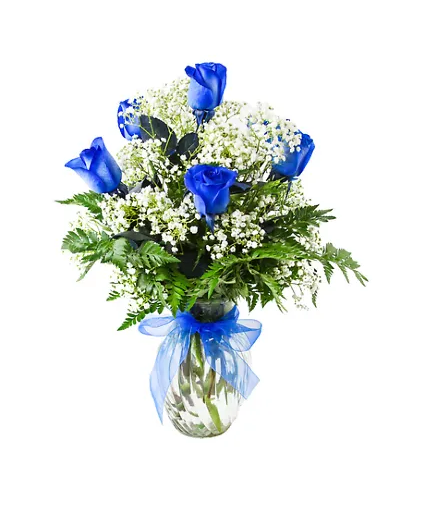 6 Blue Roses Roses