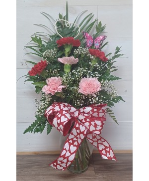 Half Dozen Colored Carnation  Fresh Flowers