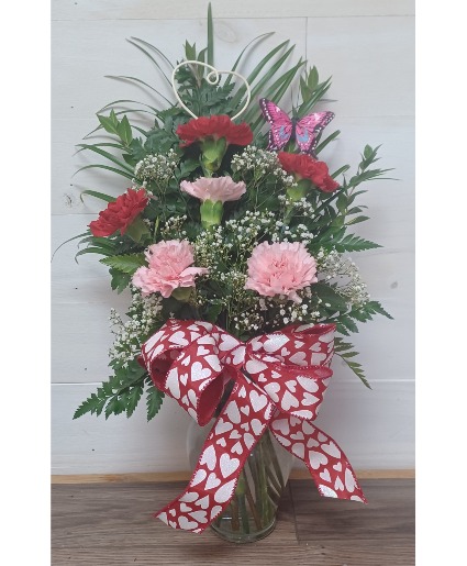 Half Dozen Colored Carnation  Fresh Flowers