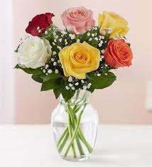 6  Mixed Rose Vase 