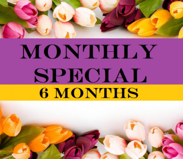 6 Months Subscription  Floral Arrangement in Presque Isle, ME | COOK FLORIST, INC.