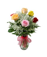 6 Multi Colored Roses Roses