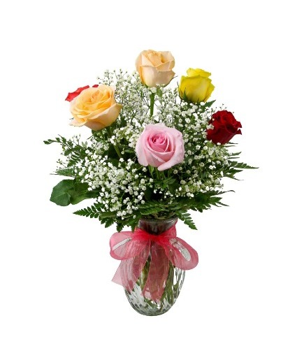 6 Multi Colored Roses Roses
