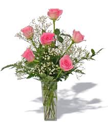 6  PINK ROSES or nicest color 