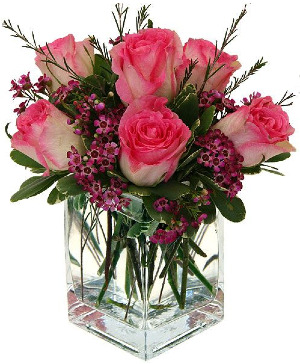 6 Pink Roses in Vase  