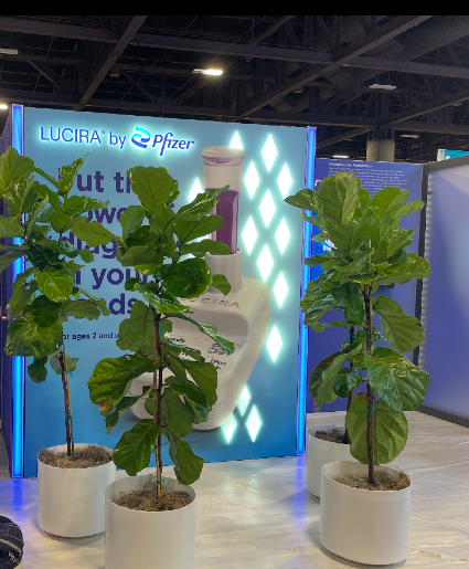 6' Plant Rentals Plant Rentals