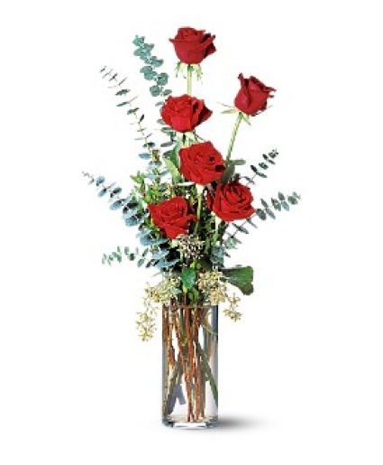 6 Red Rose Vase  Same Day Red Rose Delivery