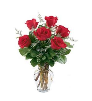 6 Red Roses 