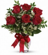 6 RED ROSES...(VD)...ARRANGED IN A VASE WITH RED   PURPLE or white WAX FLOWERS or baby's breath AND BOW!