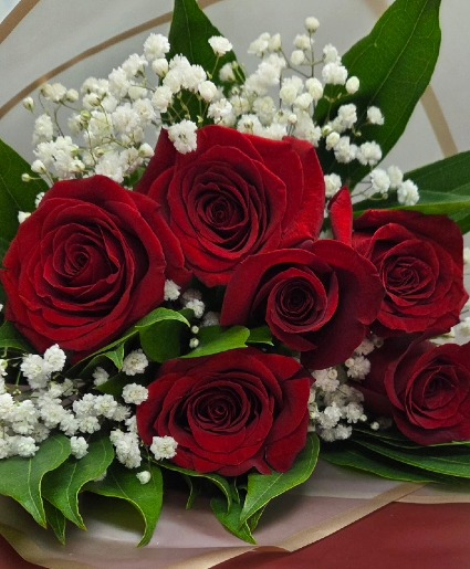 6 Red Roses Wrapped  Cut bouquet 