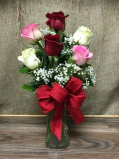 6 Colourful Roses  Fresh Arrangement 