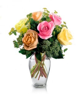 6 Stunning Fresh Roses Vase