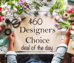 $60 deal of the day  in Osoyoos, BC | POLKA DOT DOOR