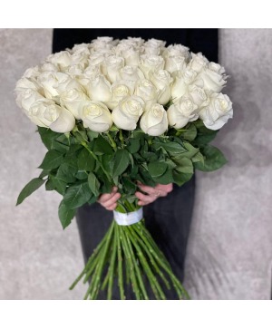 60cm Long Roses 