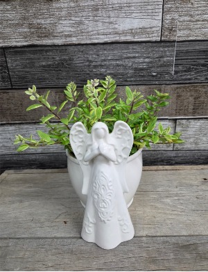 7" angel planter with real plant Planter
