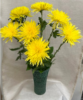 7 SPIDER MUMS  $30 Option