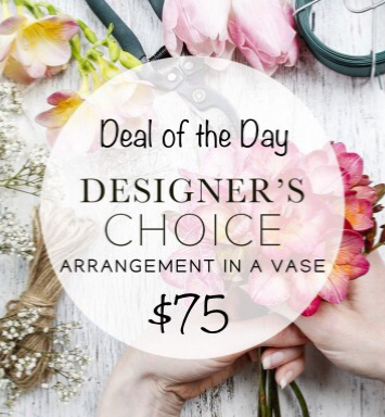 $75 Deal of the Day ✨  in Osoyoos, BC | POLKA DOT DOOR