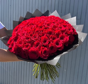 75 Red Roses Buchon 