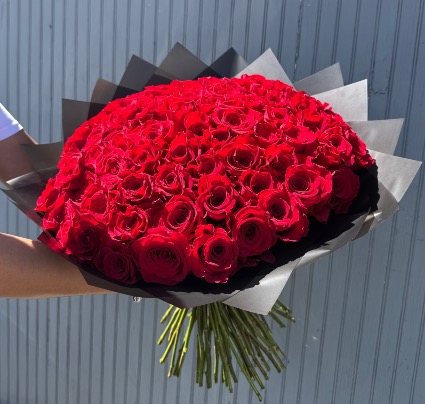 75 Red Roses Buchon 