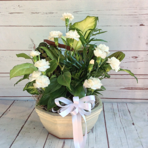 8" Ceramic Dish Garden with Flowers Dish Gardens