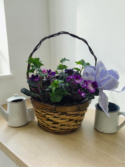 8 Inch African Violet Dish Garden SOLD OUt