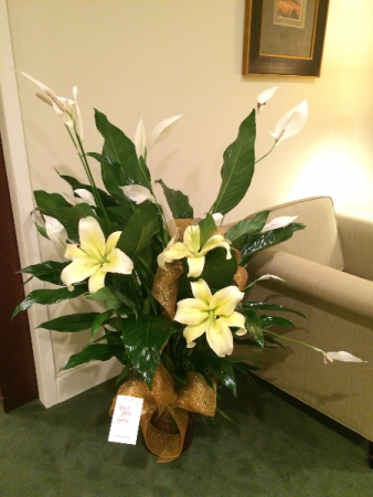 8" Peace Lily in metal Pot Green Plant