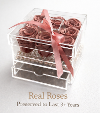8 Preserved Roses in Acrylic Box with drawer 