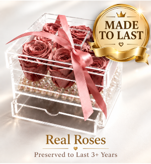 8 Preserved Roses in Acrylic Box with drawer 