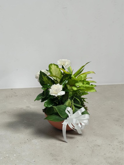 8" Terra Cotta Bowl with Flowers  