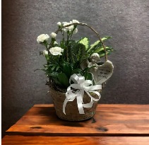 8 " Wicker Dish Garden  Fresh Cut Flowers & Angel 