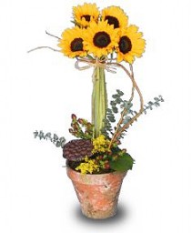 SOLAR POWER Topiary Pot