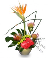 TROPICAL SHOW STOPPER Floral Arrangement