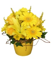 YELLOW AGLOW Flower Arrangement