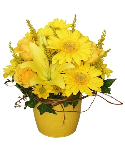 YELLOW AGLOW Flower Arrangement