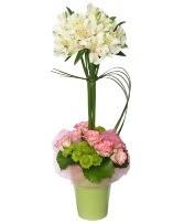 Greetings From The Garden 