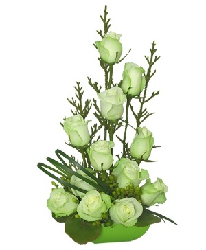 Jade Green Roses Arrangement
